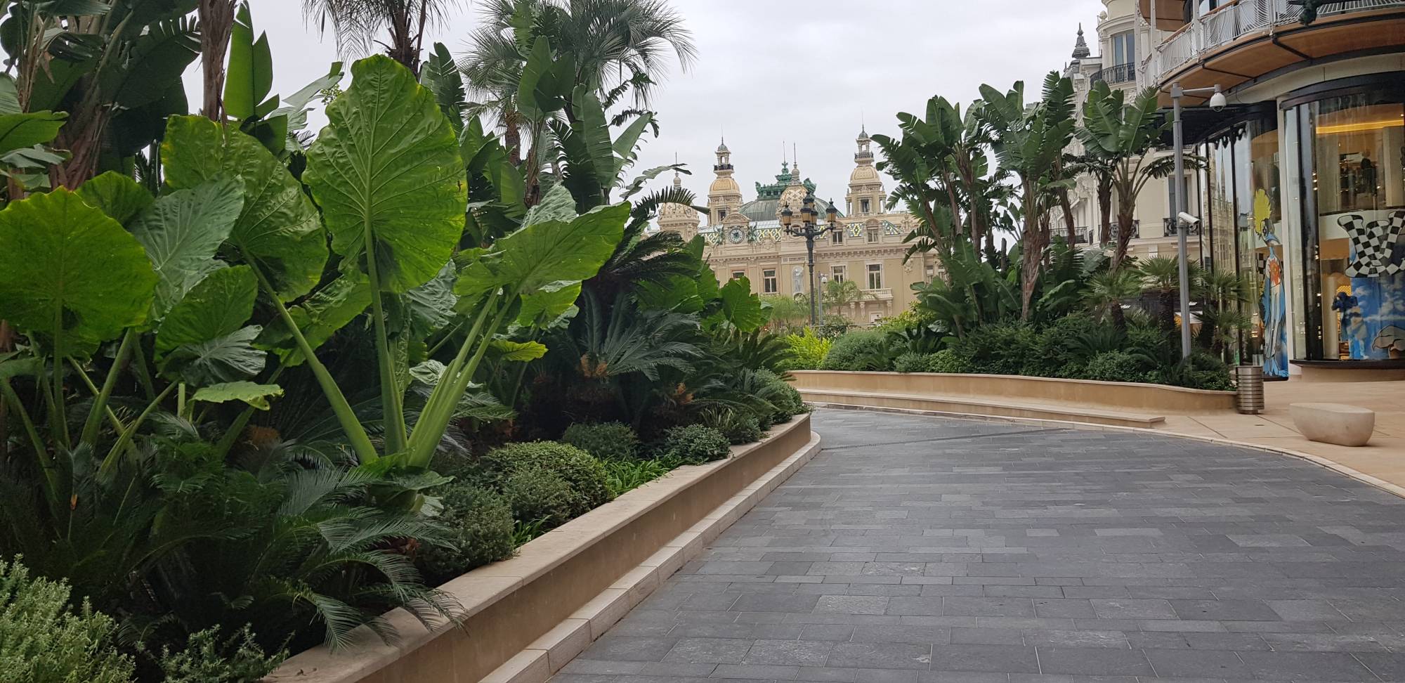 Aménagement paysager exotique arbustif à Monaco